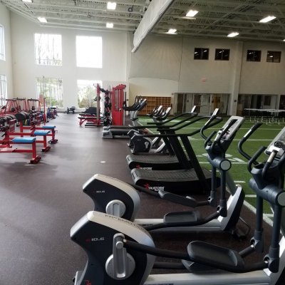 overview of gym equipment